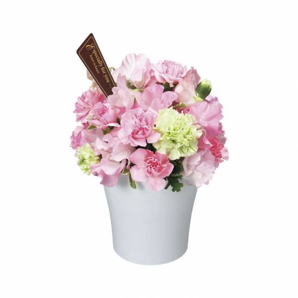 長崎県諫早市の花屋 八江農芸 ガルデンにフラワーギフトはお任せください 当店は 安心と信頼の花キューピット加盟店です 花キューピットタウン